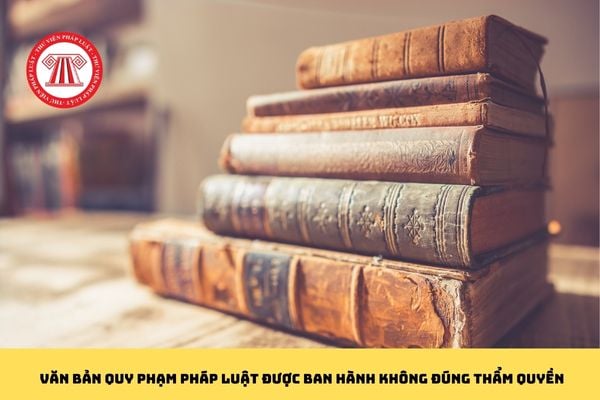 Pháp luật