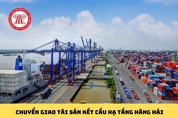 Pháp luật