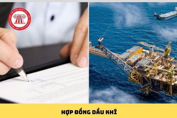 Pháp luật