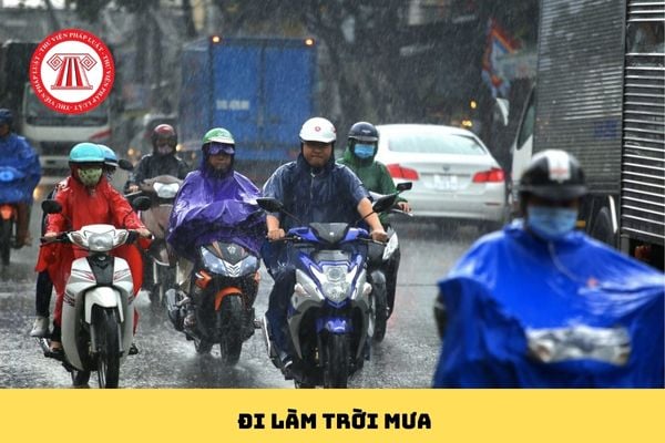 Pháp luật