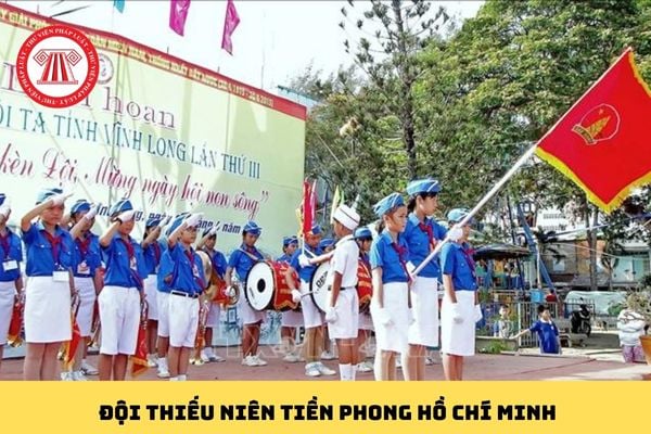 Pháp luật