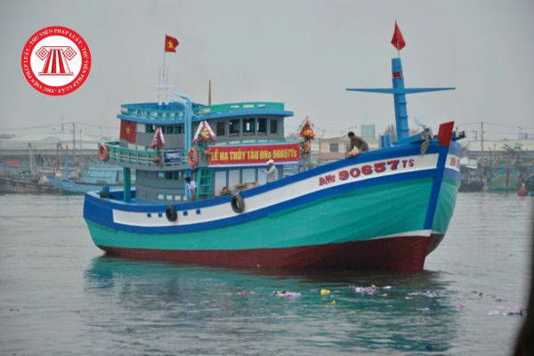 Pháp luật