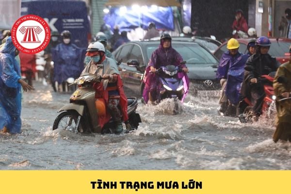 Pháp luật