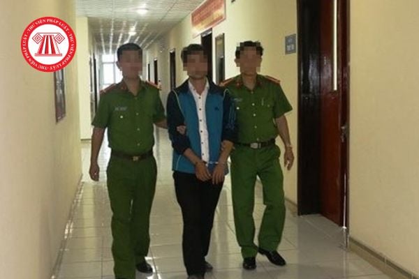 Pháp luật