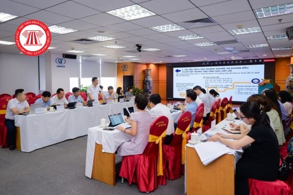 Pháp luật