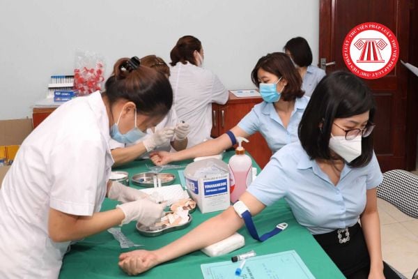 Pháp luật