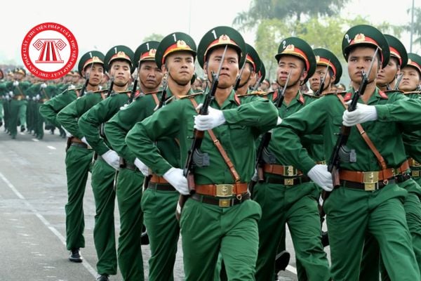 Pháp luật