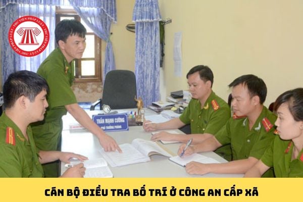 Pháp luật