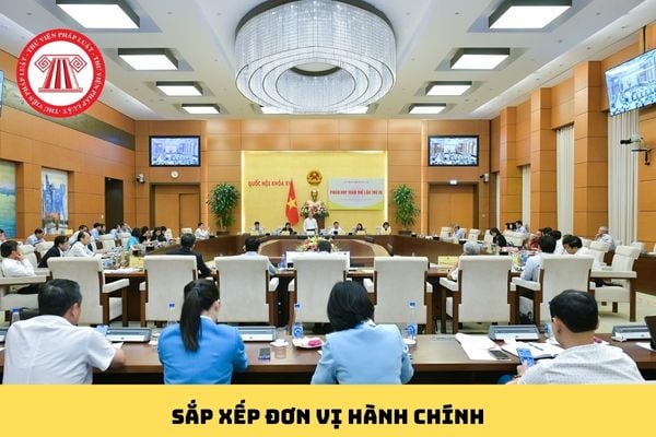 Pháp luật
