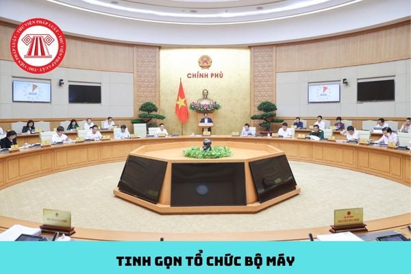 Pháp luật