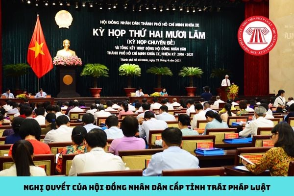 Pháp luật