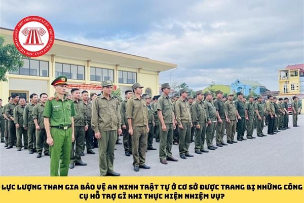 Pháp luật