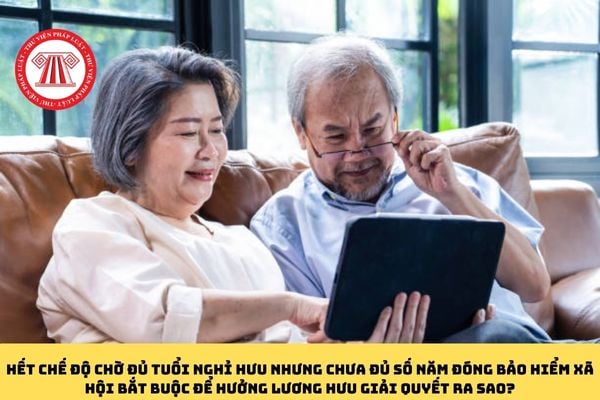Pháp luật