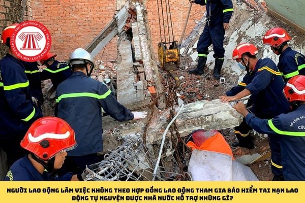 Pháp luật