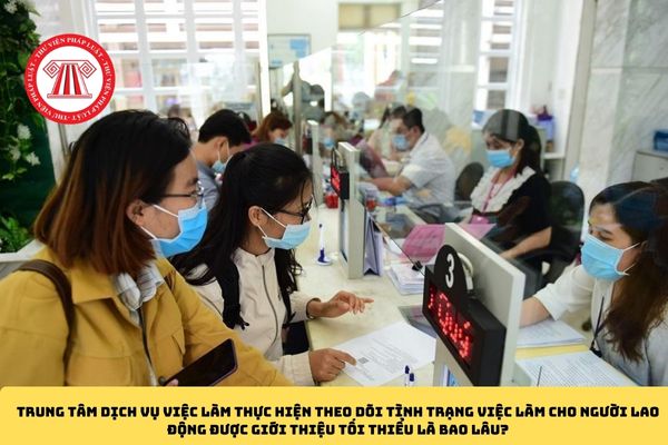 Hỏi đáp Pháp luật
