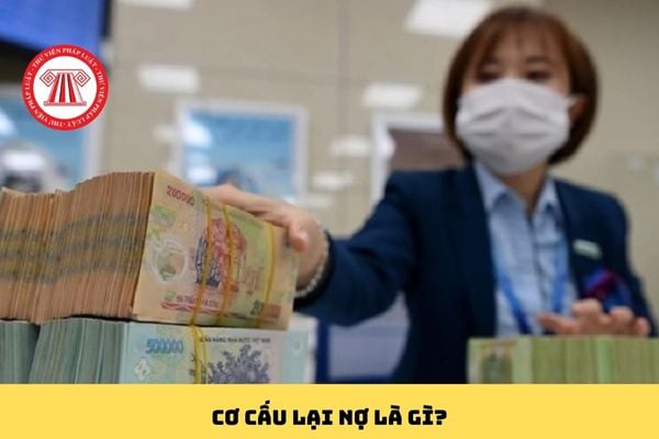 Pháp luật