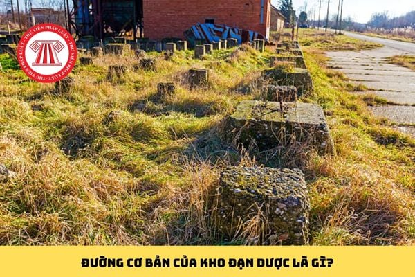 Pháp luật