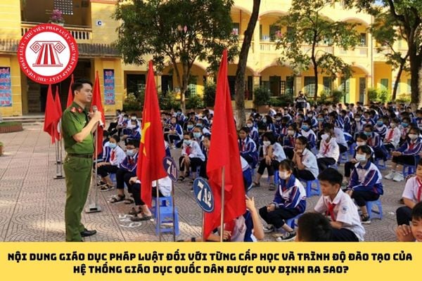 Pháp luật