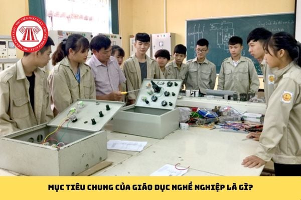 Pháp luật