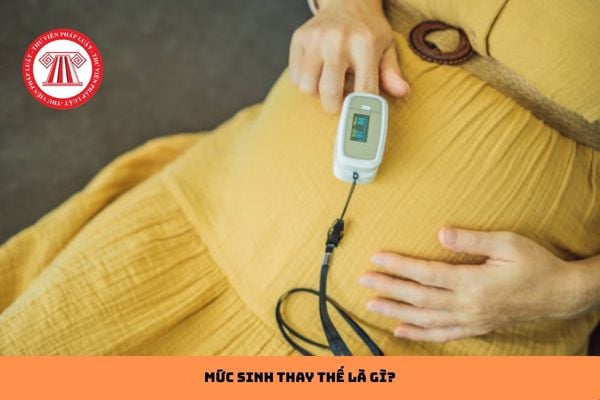 Pháp luật