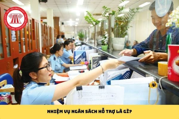 Pháp luật