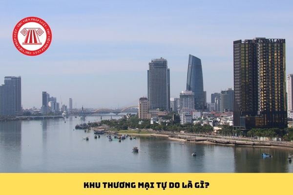 Pháp luật