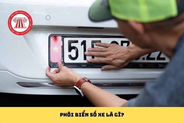 Pháp luật