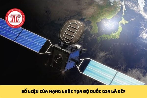 Pháp luật