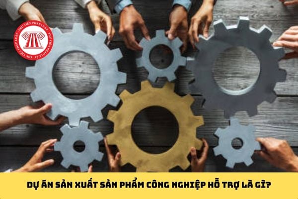 Pháp luật
