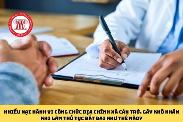 Pháp luật