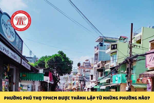 Pháp luật