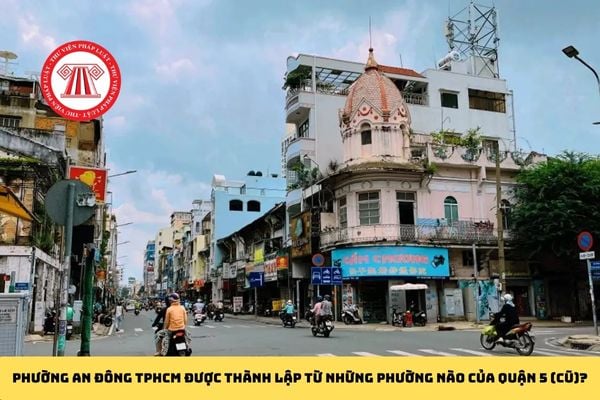Pháp luật