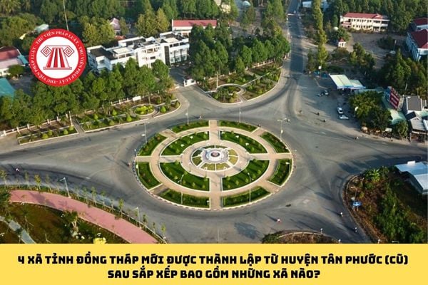 Pháp luật