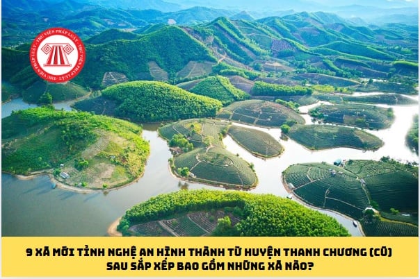 Pháp luật