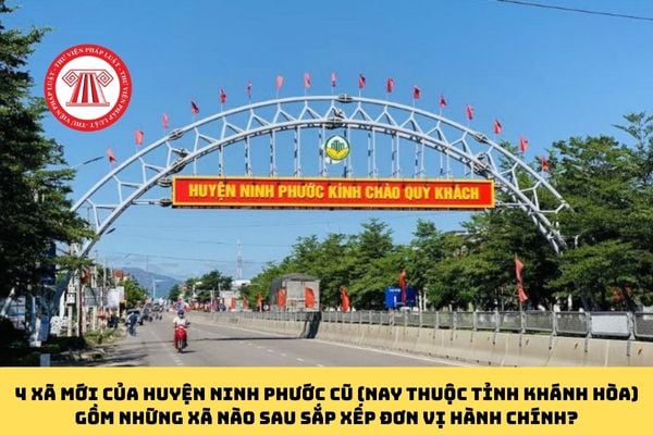 Pháp luật