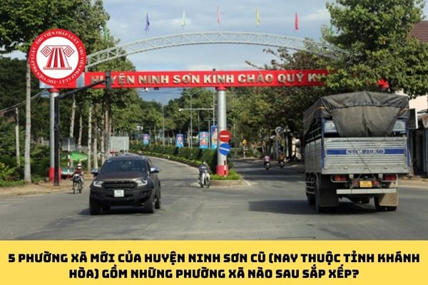 Pháp luật