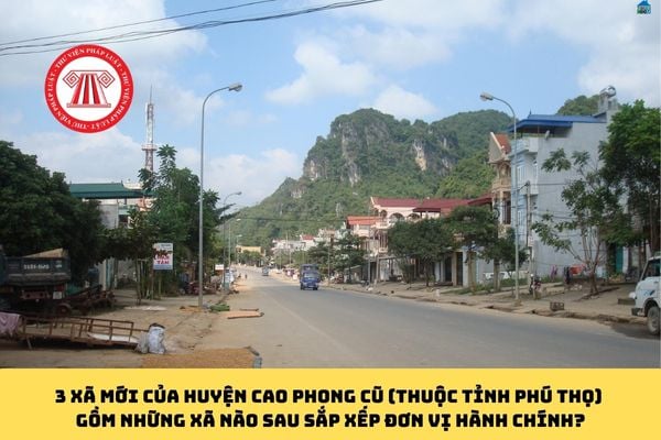 Pháp luật