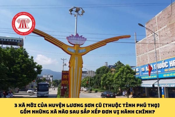 Pháp luật