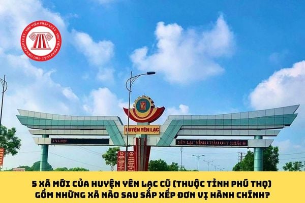 Pháp luật