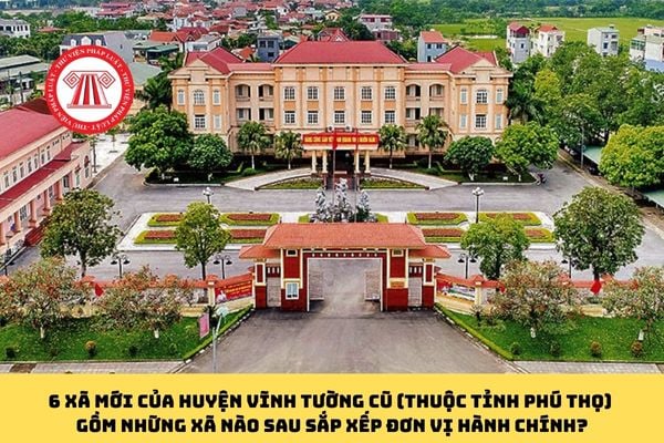 Pháp luật