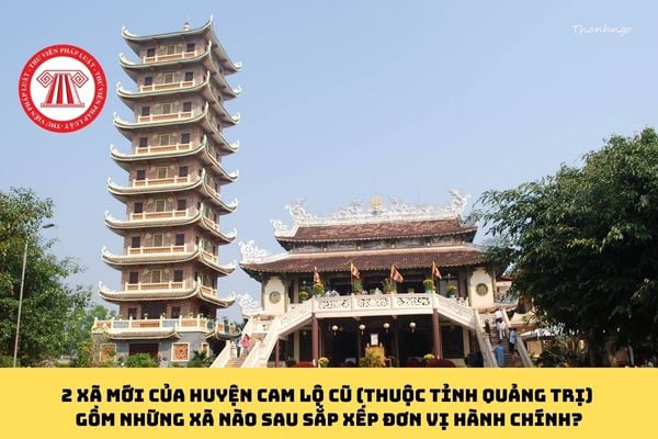 Pháp luật