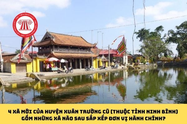 Pháp luật