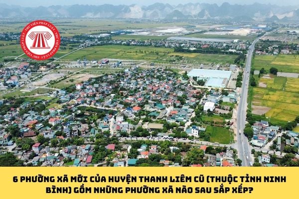 Pháp luật