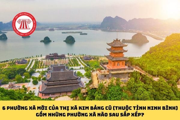 Pháp luật