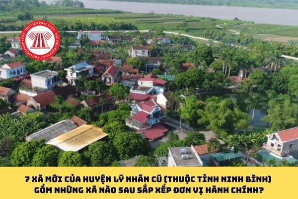 Pháp luật
