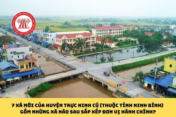 Pháp luật