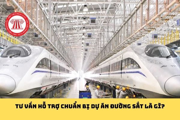 Pháp luật