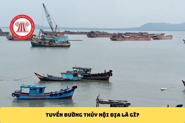 Pháp luật