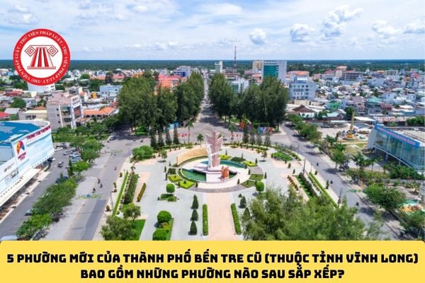Pháp luật