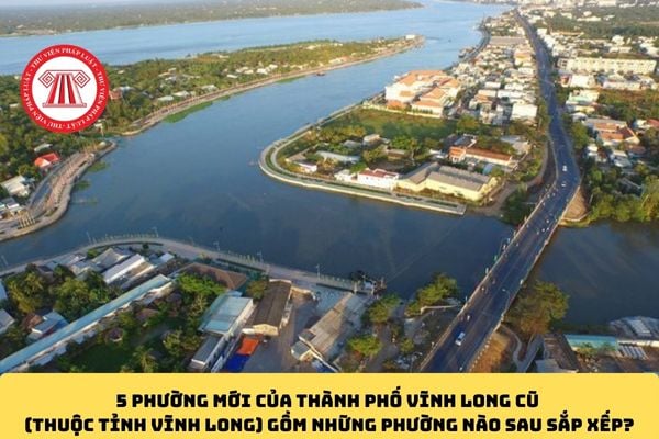 Pháp luật